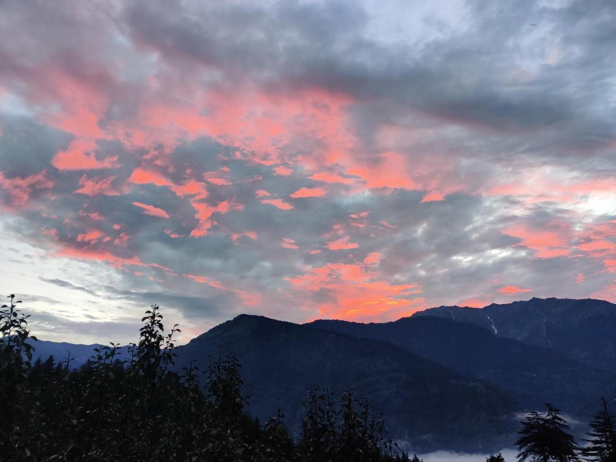 Homestay Haven Seven14 Nagar (Himachal Pradesh)