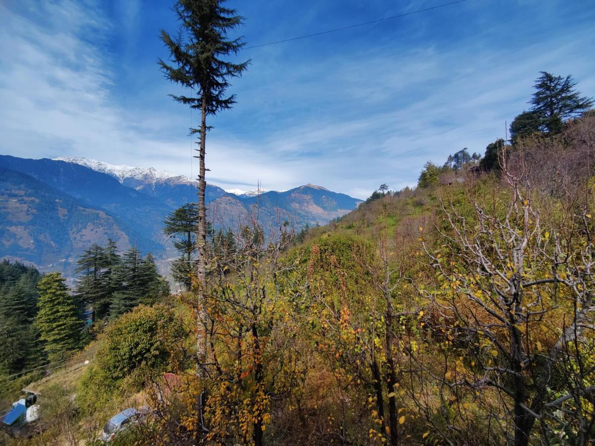 Haven Seven14 * Nagar (Himachal Pradesh)