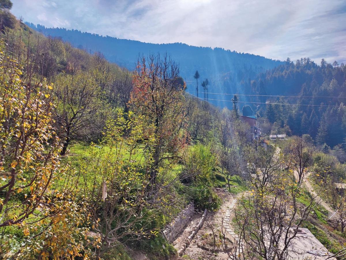Haven Seven14 Nagar (Himachal Pradesh)