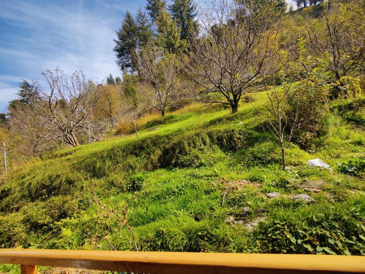 Haven Seven14 * Nagar (Himachal Pradesh)
